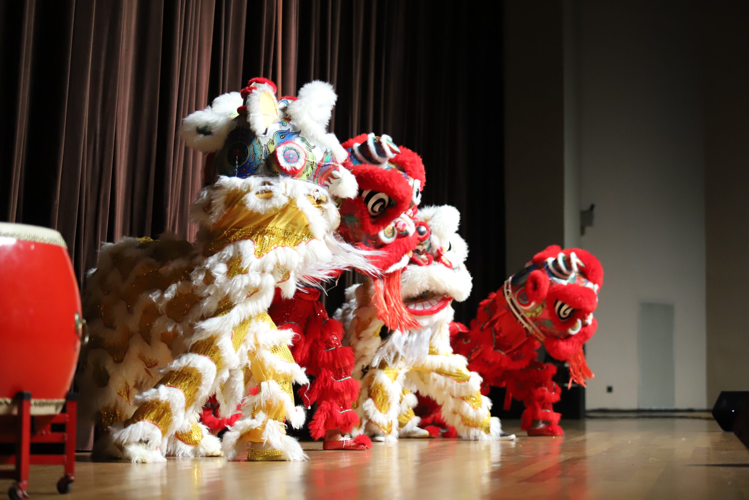 festival cultural