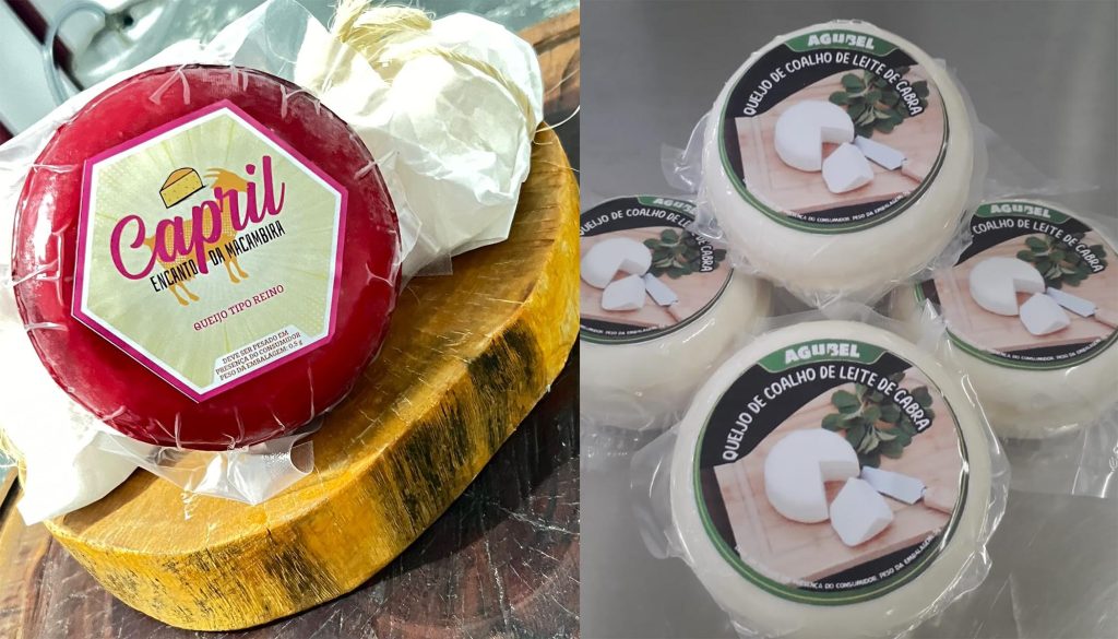 Caprinocultura: queijos da Paraíba conquistam medalhas em competição internacional