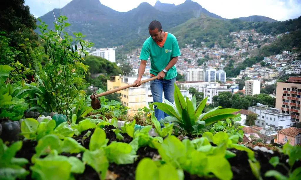 Produção local pode melhorar alimentação em centros urbanos, aponta estudo da USP