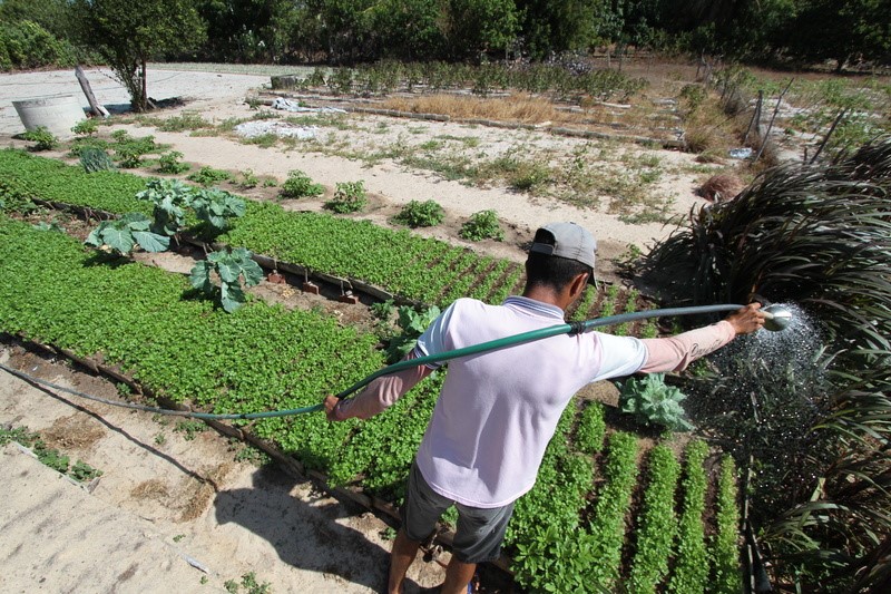 Parceria busca alcançar cerca de 2,5 mil agroindústrias de pequeno porte e aumentar faturamento