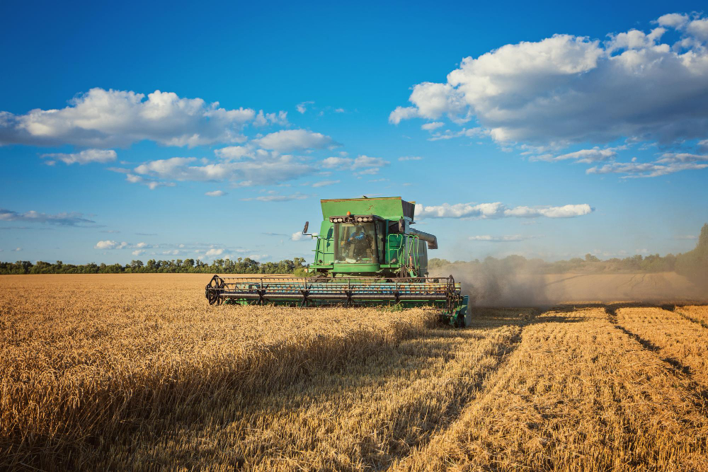 Agronegócio no mercado licitatório: 4 dicas para empresas do setor venderem para o governo