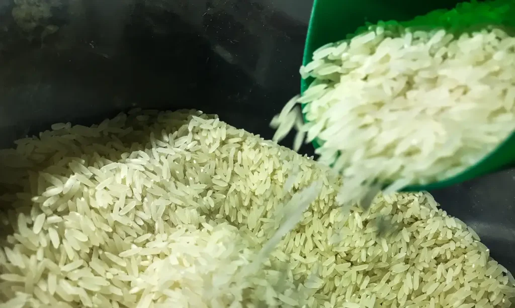 Brasil vai importar arroz para evitar especulação de preços devido às enchentes no RS