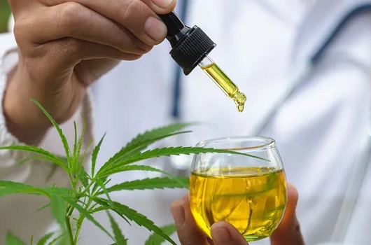 cannabis