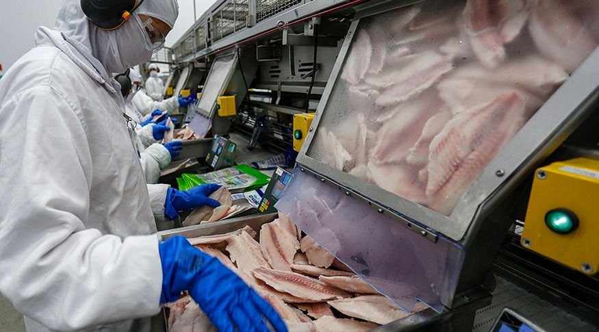 indústria, alimentos