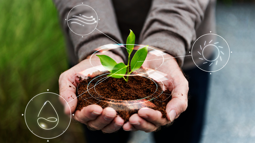 Estudo indica bioinsumo como solução sustentável na produção alimentar