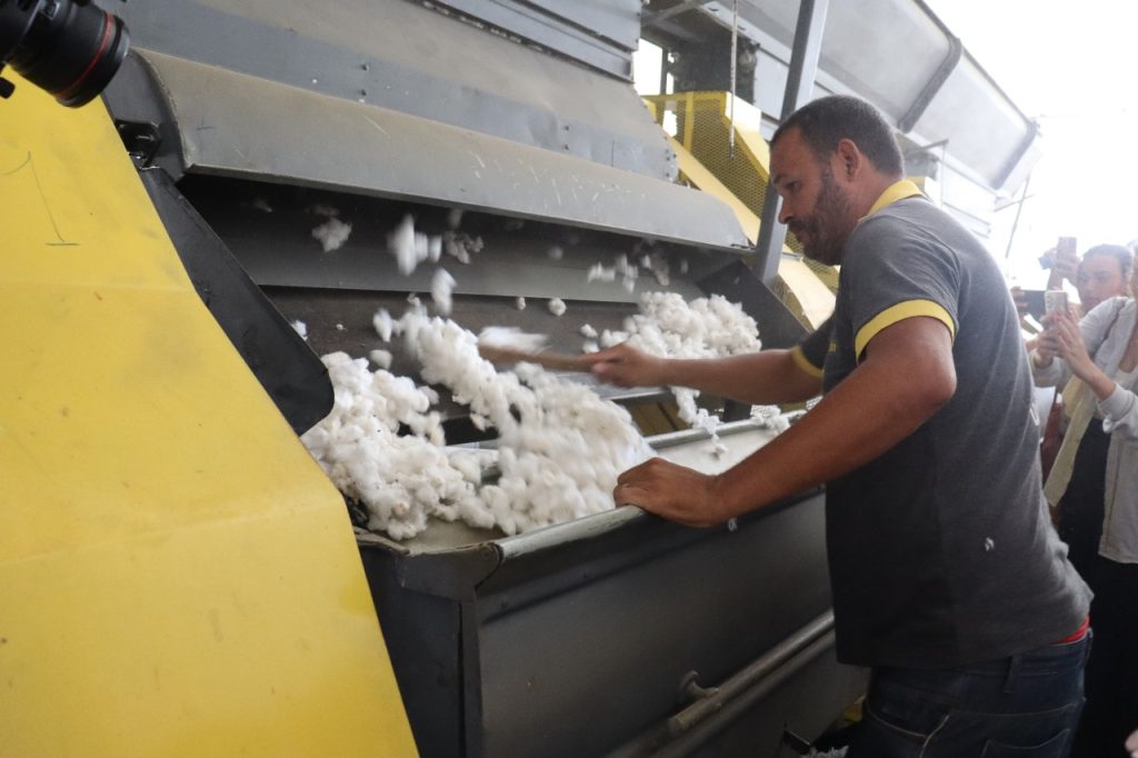 4º Dia da Colheita do Algodão Orgânico e Agroecológico da PB destaca crescimento da produção e certificação internacional