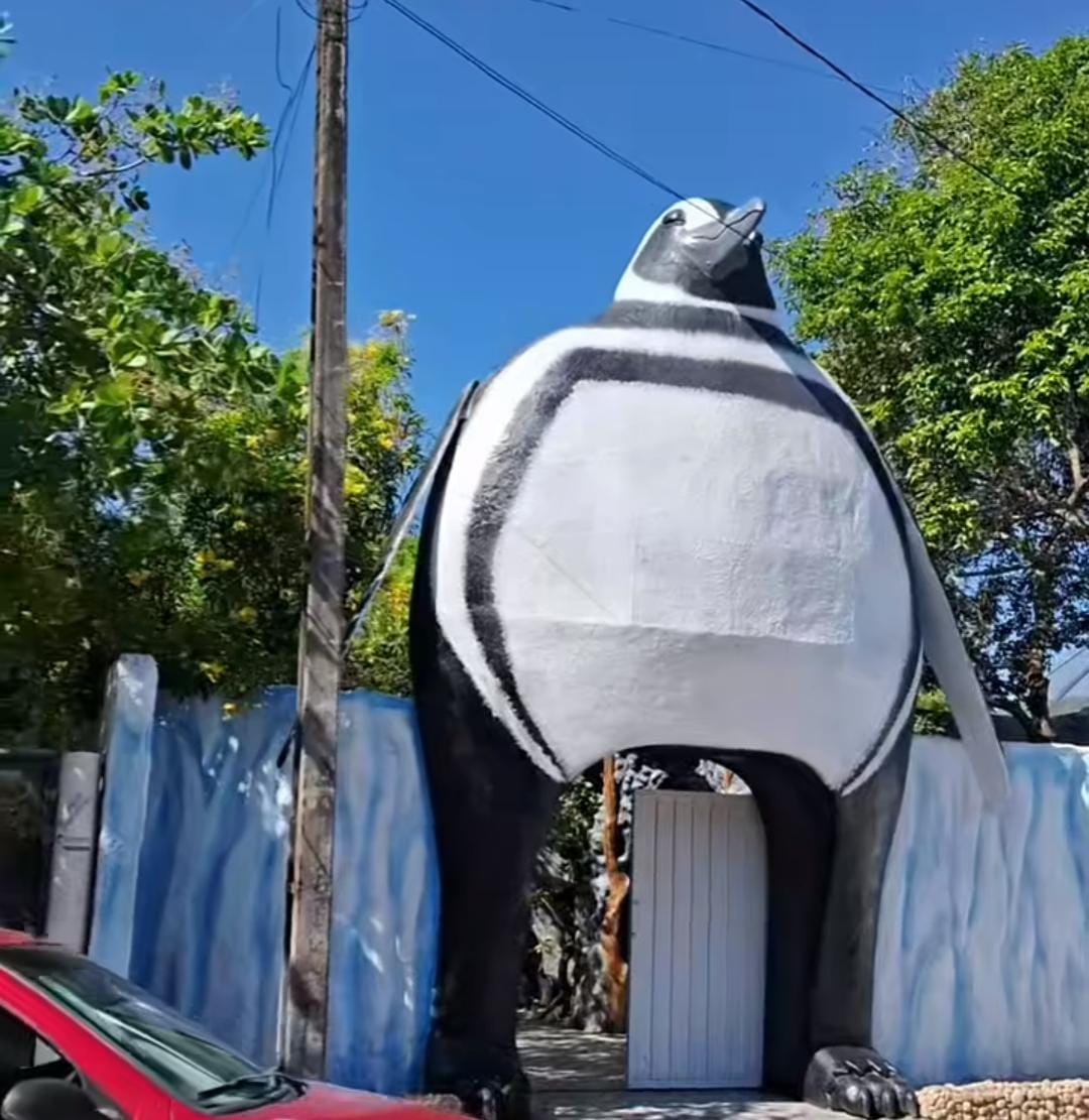aquário
