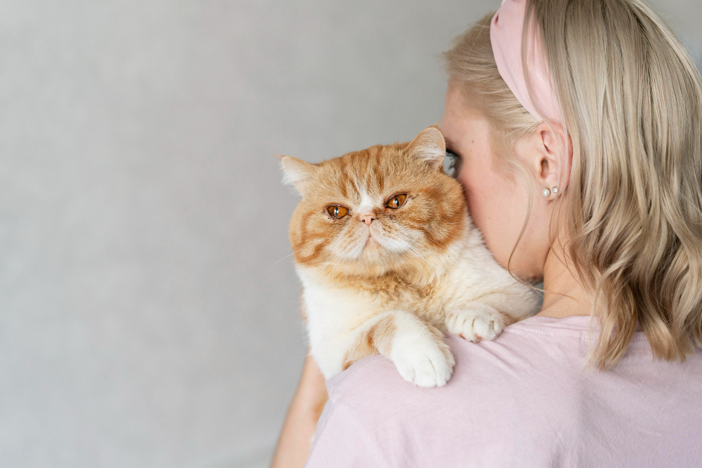 Prevenção e diagnóstico precoce são essenciais no combate ao câncer de mama em cães e gatos