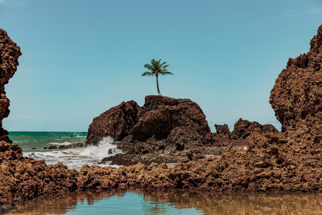 Estação Cabo Branco abre nova exposição gratuita a partir do dia 17 de janeiro