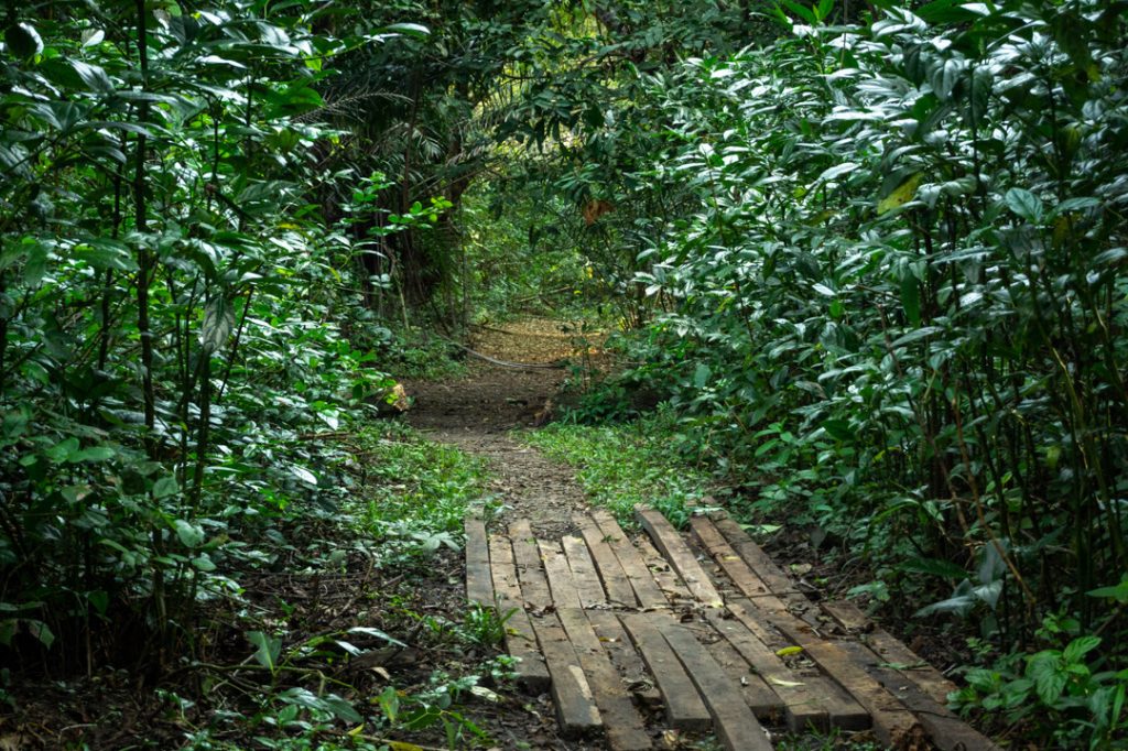 Programação de férias do Jardim Botânico tem trilhas temáticas, oficinas e experiências educativas