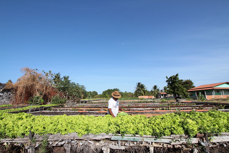 Desenrola Rural pode beneficiar mais de 360 mil agricultores atendidos pelo Banco do Nordeste