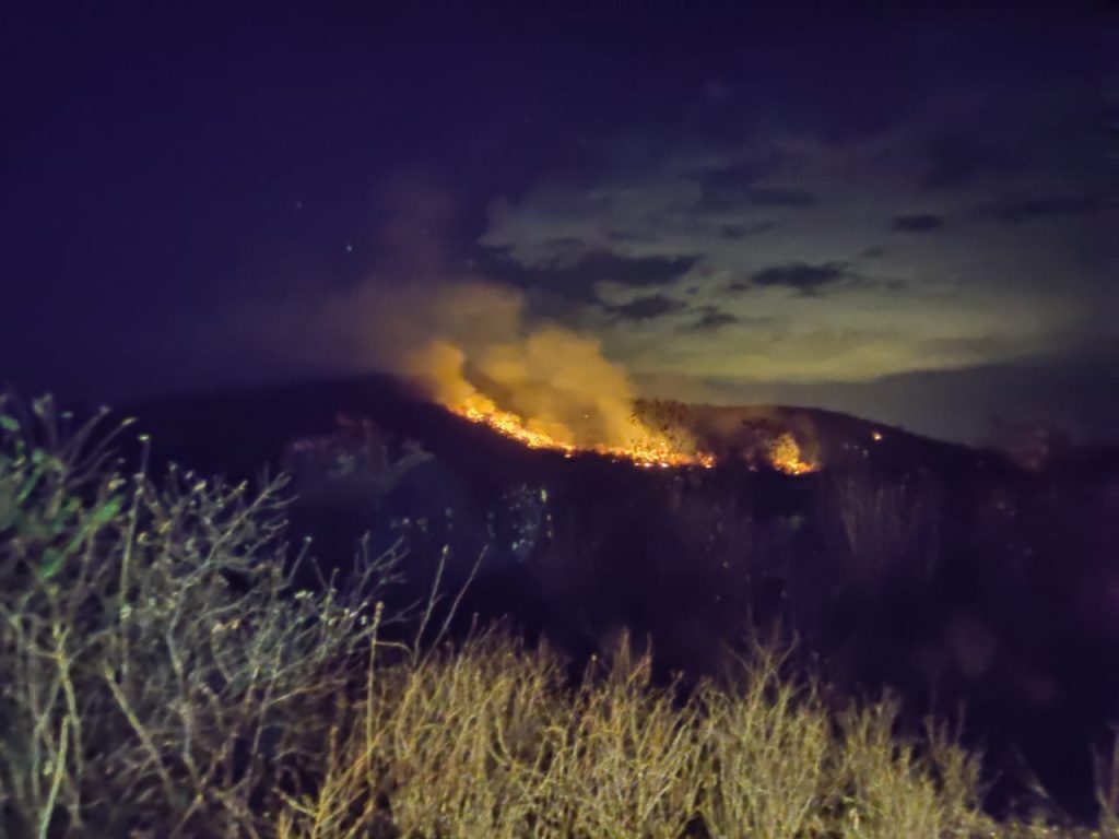 Paraíba tem emergência ambiental declarada e intensifica ações contra incêndios florestais