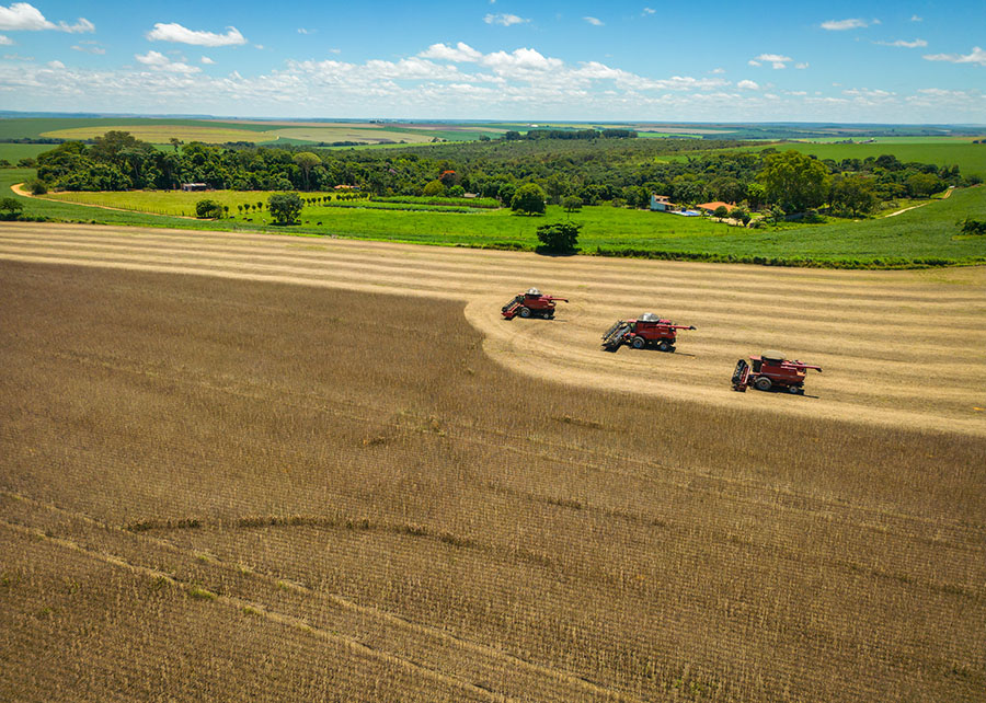 Preço das emissões de carbono na agropecuária brasileira é estimado em US$ 11,54 por tonelada