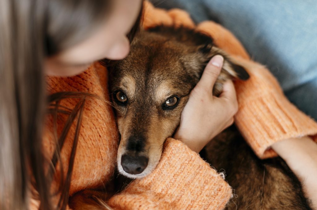 Entidades alertam para maus-tratos contra animais; saiba como denunciar