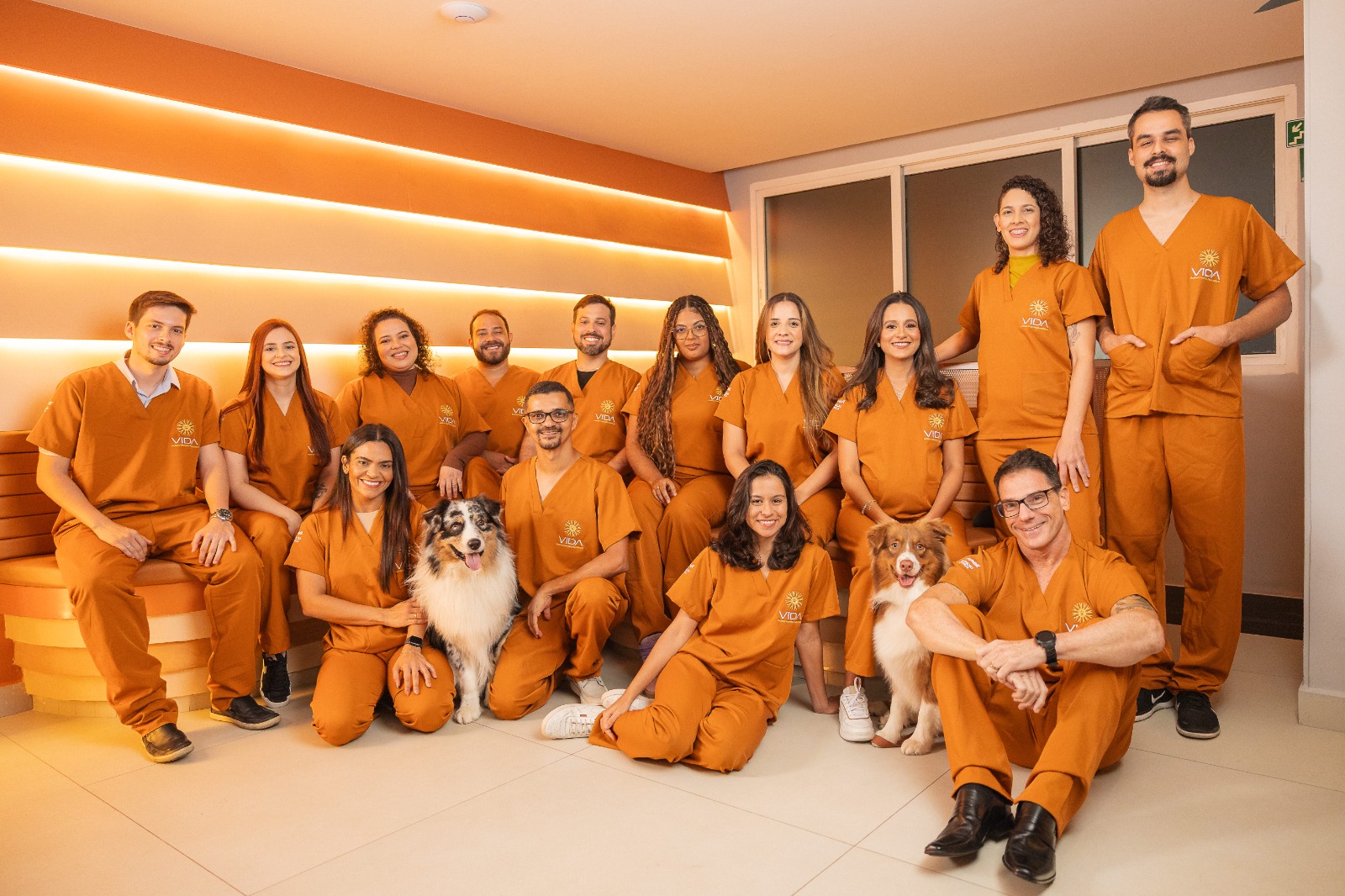 hospital veterinário