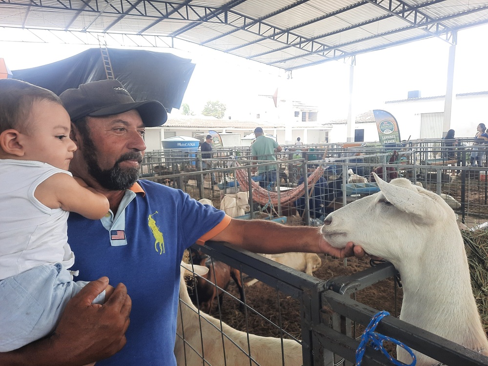 Barra de Santa Rosa prevê movimento superior a R$ 2 milhões na economia durante a 4ª Caprifeira