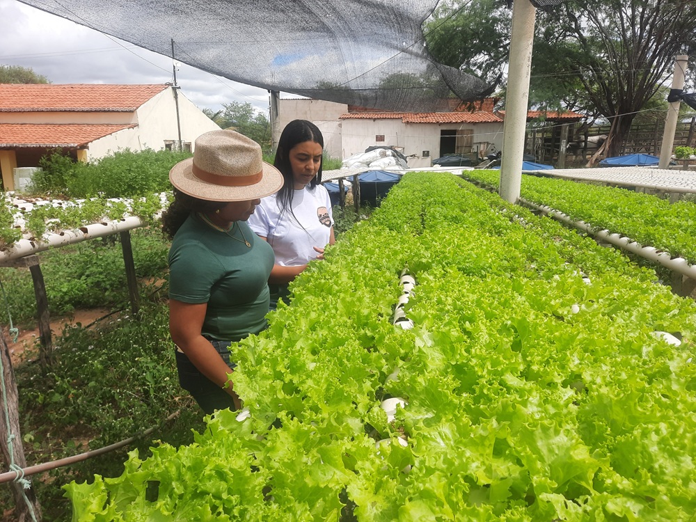 Com apoio da Sedap-PB, mulheres conquistam protagonismo no agro no município de Livramento