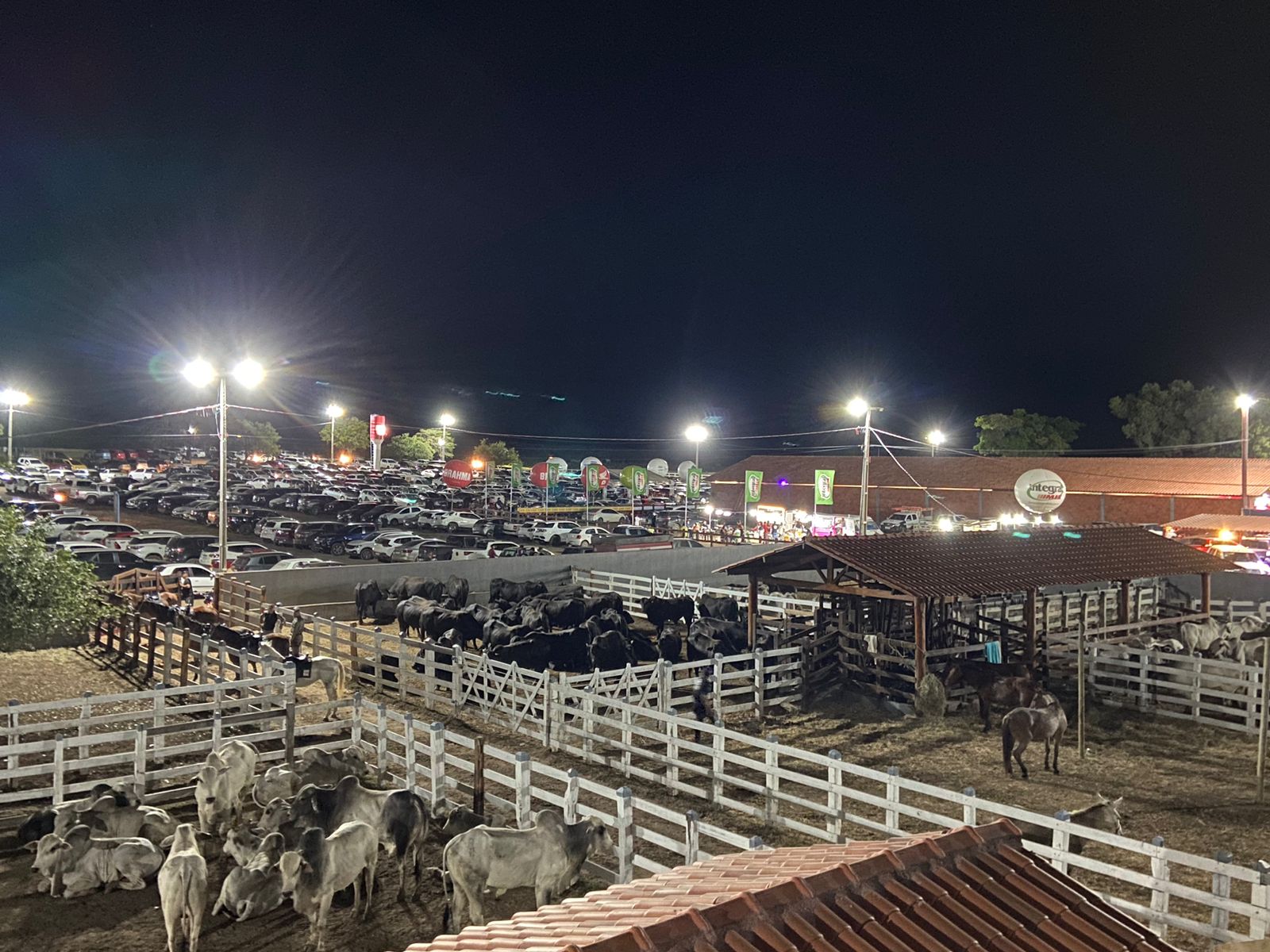 expo sousa
