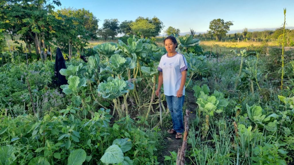 Projetos da Sedap-PB destacam o protagonismo das mulheres do agro em Zabelê