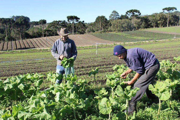 AgroAmigo: líderes comunitários e cooperativas facilitam acesso ao microcrédito rural