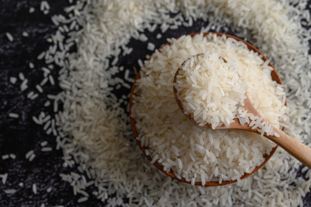 Governo do Brasil apoia produtores de arroz com R$ 300 milhões na Safra 2025/2026