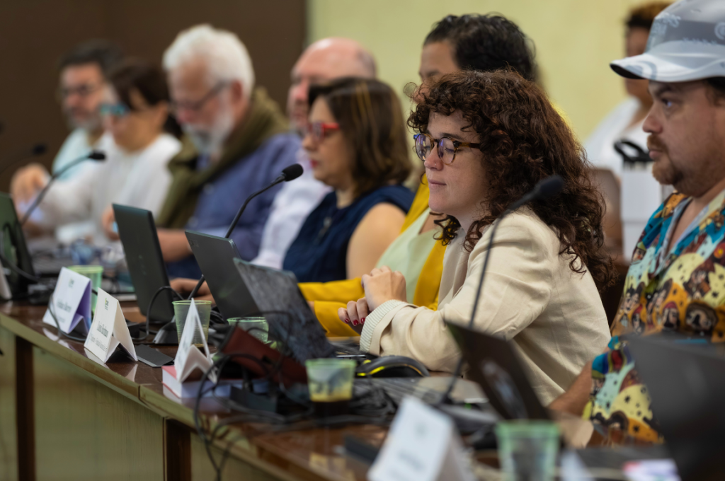 Comissão de Incentivo à Cultura aprova R$ 281,8 milhões em projetos culturais via Lei Rouanet