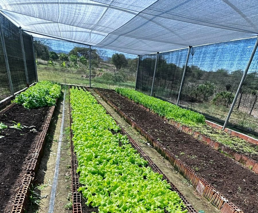 Governo investe na criação de uma rede de produção agrícola sustentável no Sertão da Paraíba