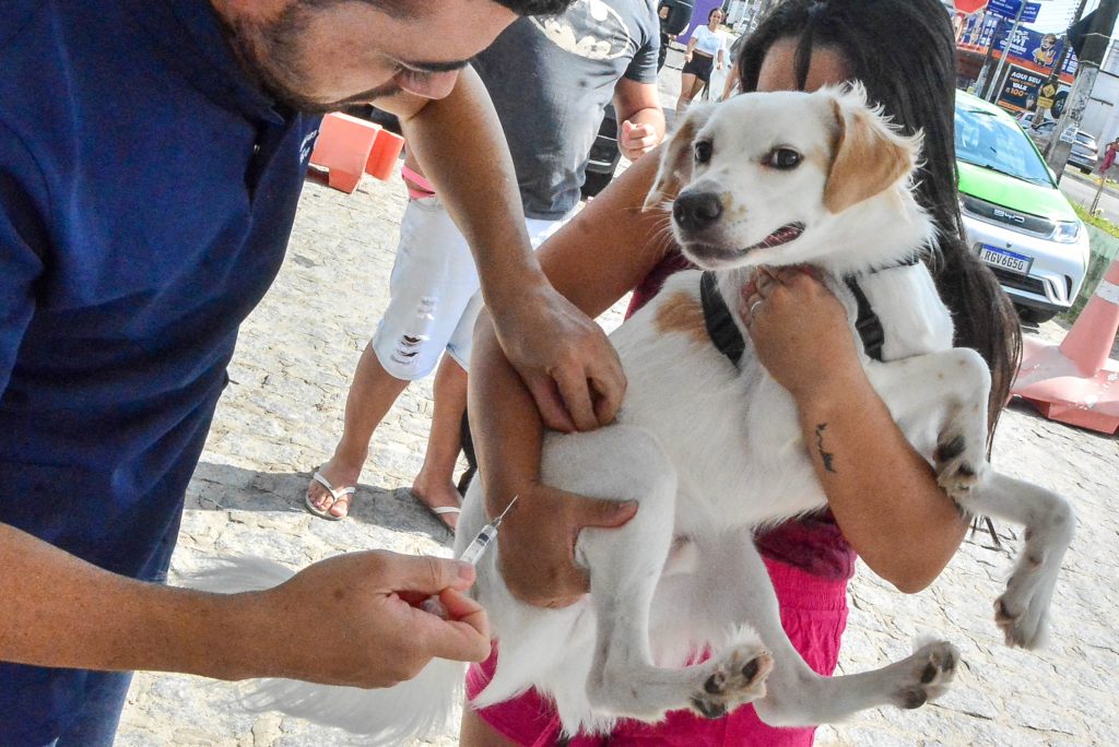 Prefeitura de João Pessoa irá oferecer quase 140 postos de vacinação antirrábica no ‘Dia D’