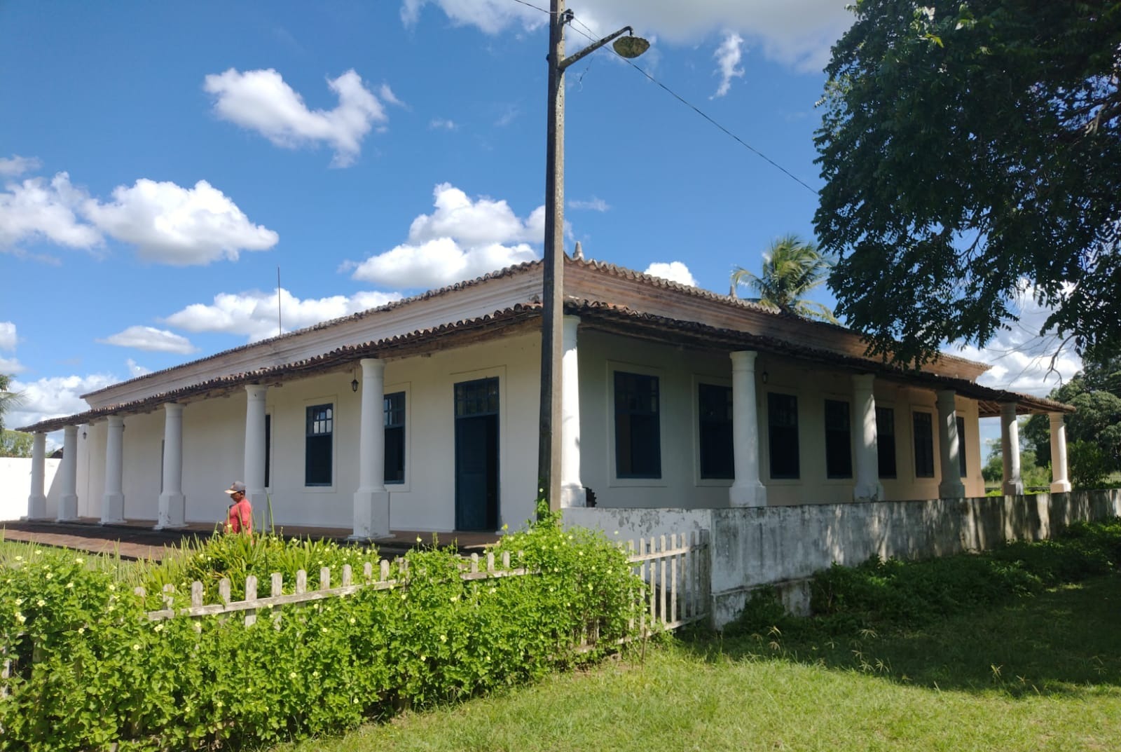 josé lins
