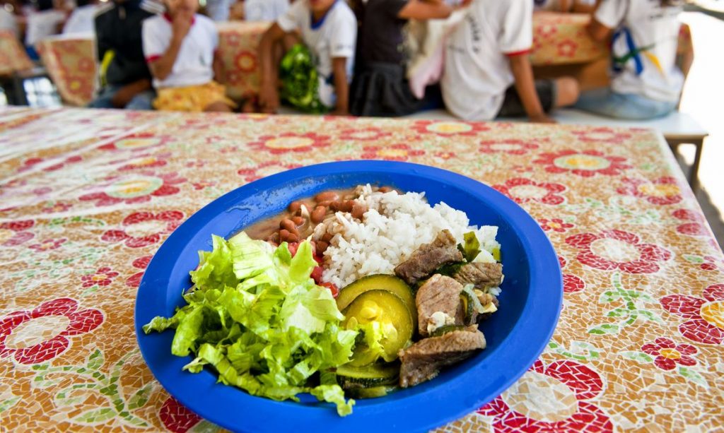 Câmara aprova projeto que amplia compra da agricultura familiar para merenda escolar
