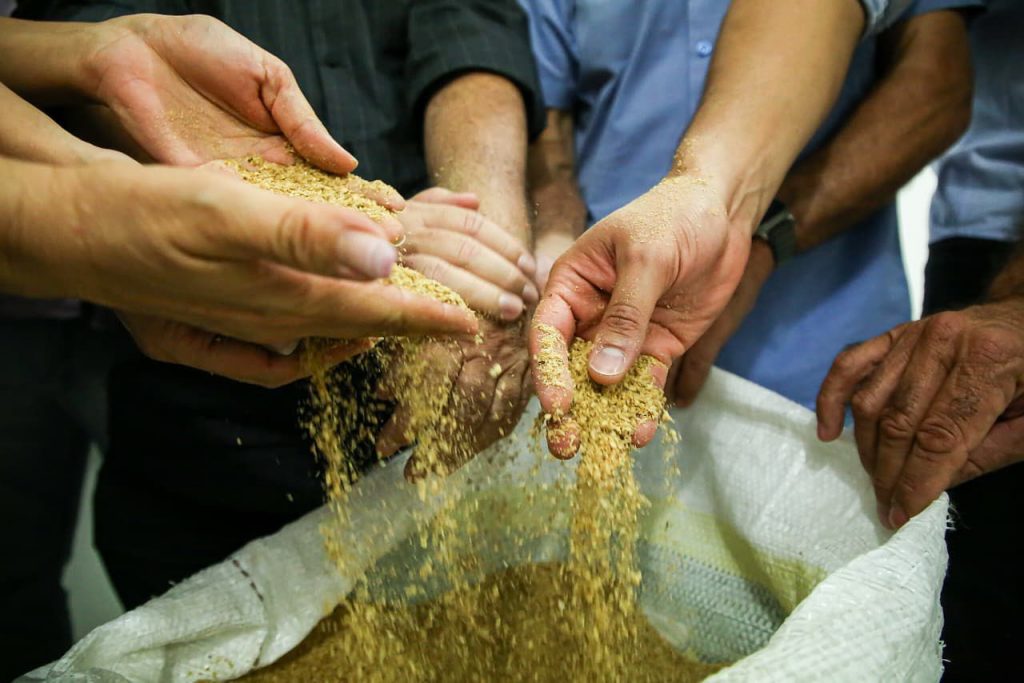 Governo da Paraíba inaugura três polos de ração subsidiada no Sertão com investimento de R$ 33 milhões