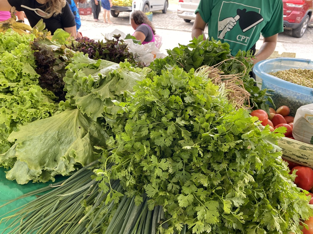 Prefeitura de João Pessoa divulga programação da Feira da Agricultura Familiar do mês de outubro