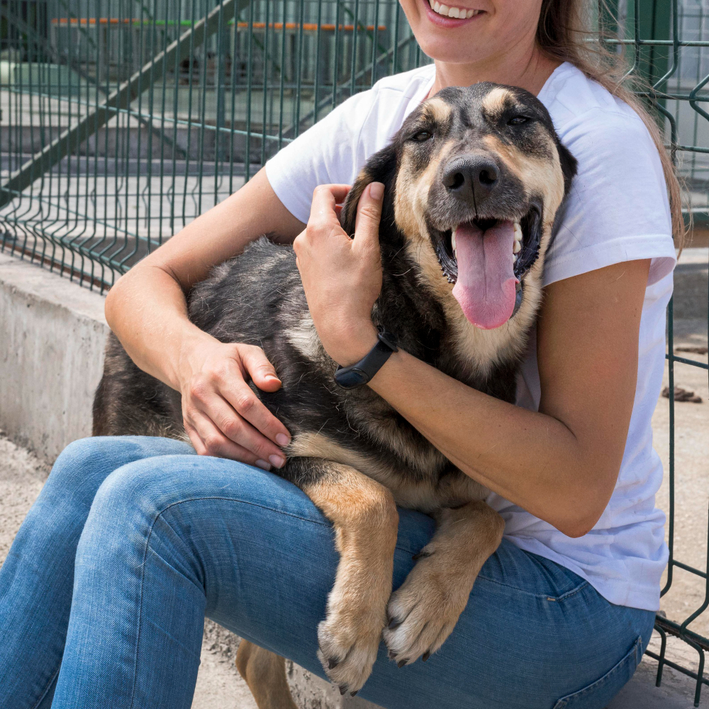 Paraíba realiza evento de Educação, Cuidados e Adoção Animal, neste sábado (4), na Praça da Paz