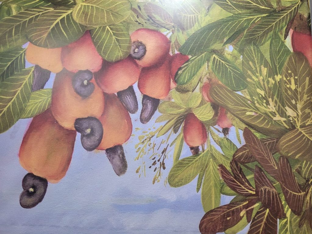 Projeto cultural anuncia exposição “Sob o Sol da Primavera Paraibana”