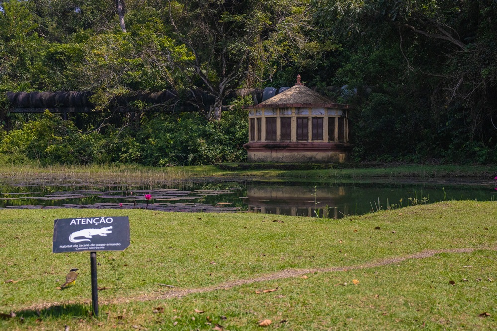 Jardim Botânico realiza programação do Dia das Crianças neste sábado (11)