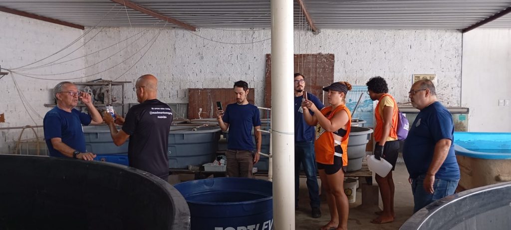 Tartaruga resgatada no Bessa é encaminhada ao Aquário Paraíba após possível ingestão de plástico