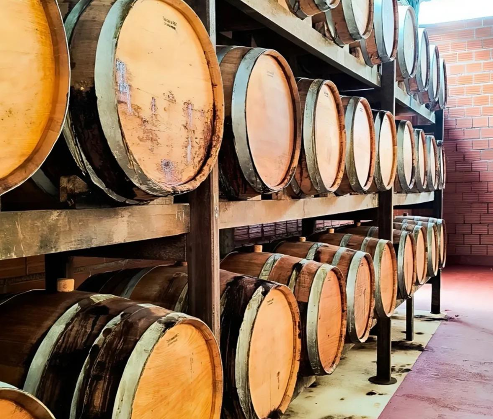 Polo nacional de destilados: Areia Mostra Cachaça começa nesta quinta (20) com apoio do Sebrae