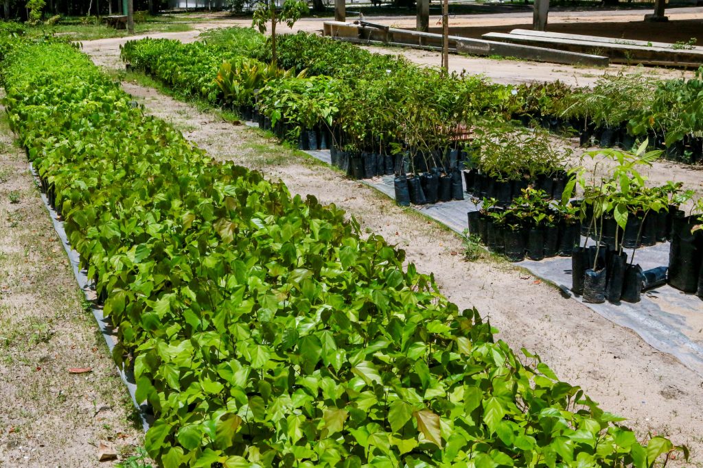 Prefeitura de João Pessoa participa da COP 30 com foco em governança climática e inovação