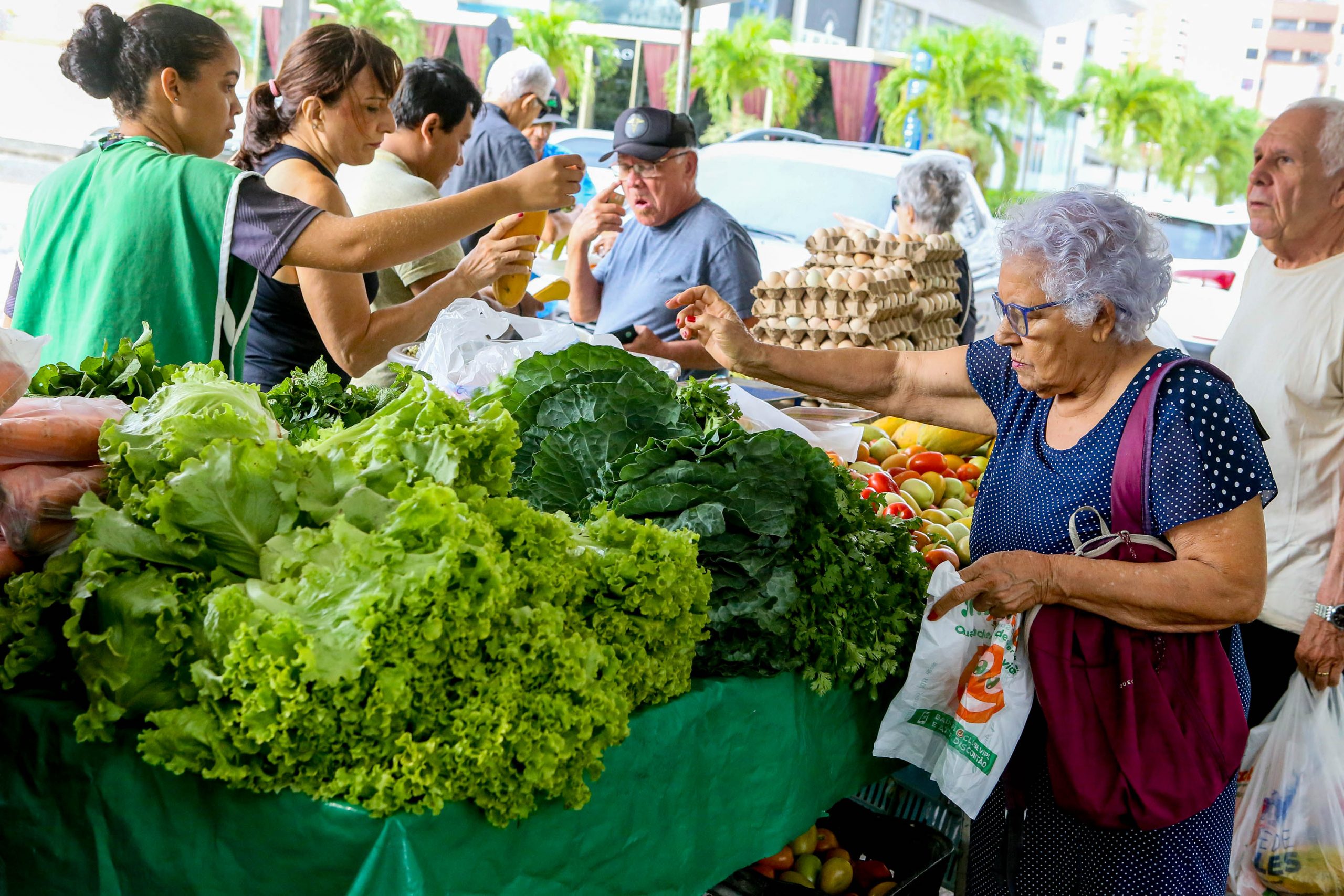 feira da agricultura