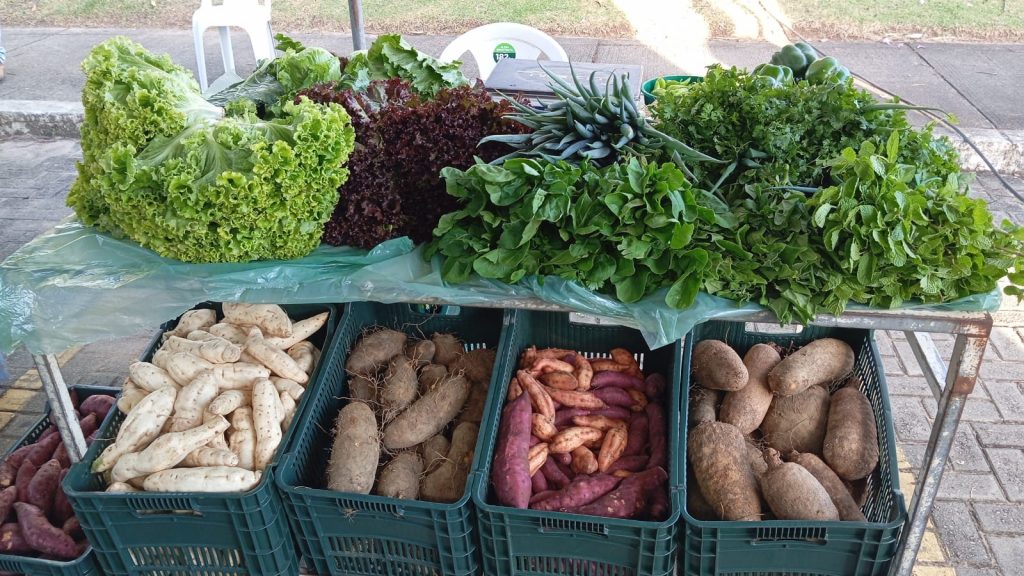 Programa ‘Eu Posso Semear’ fortalece agricultura familiar e sustentabilidade em João Pessoa