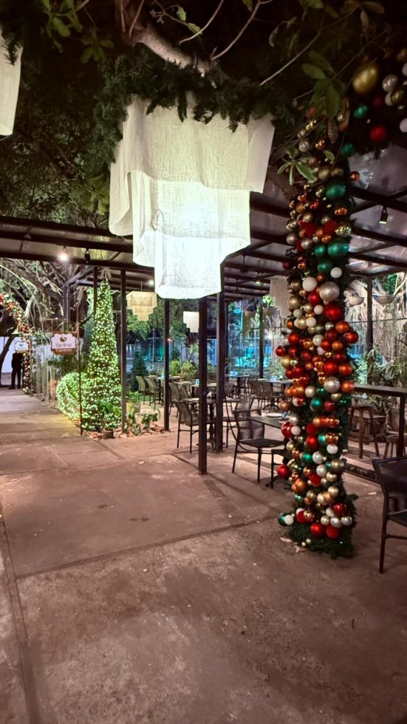 Reserve Garden estreia decoração de Natal nesta quinta-feira (4)