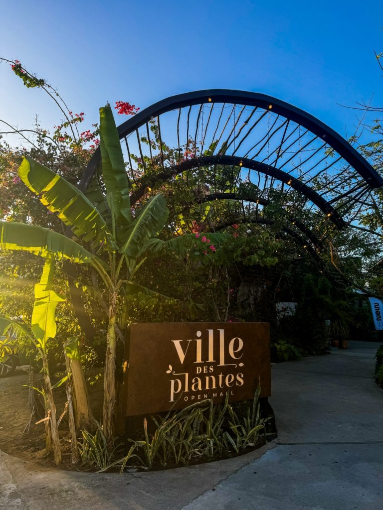 Mostra Feira das Pulgas acontece no Ville des Plantes com programação cultural e natalina