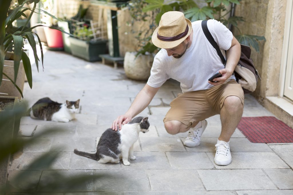 Proteção animal em condomínios: como funciona o reconhecimento de animais comunitários