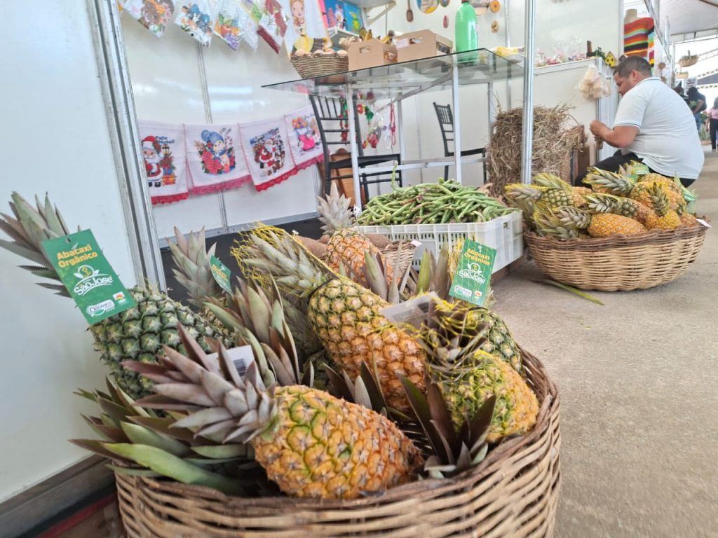 Paraíba celebra produção de abacaxi com 1ª Expo Abacaxi e seminário estadual em Itapororoca