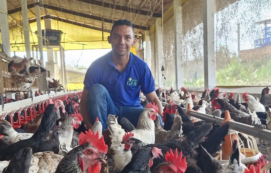 Produtor de ovos caipiras em Pirpirituba vira referência após capacitação do Sebrae e deixa CLT