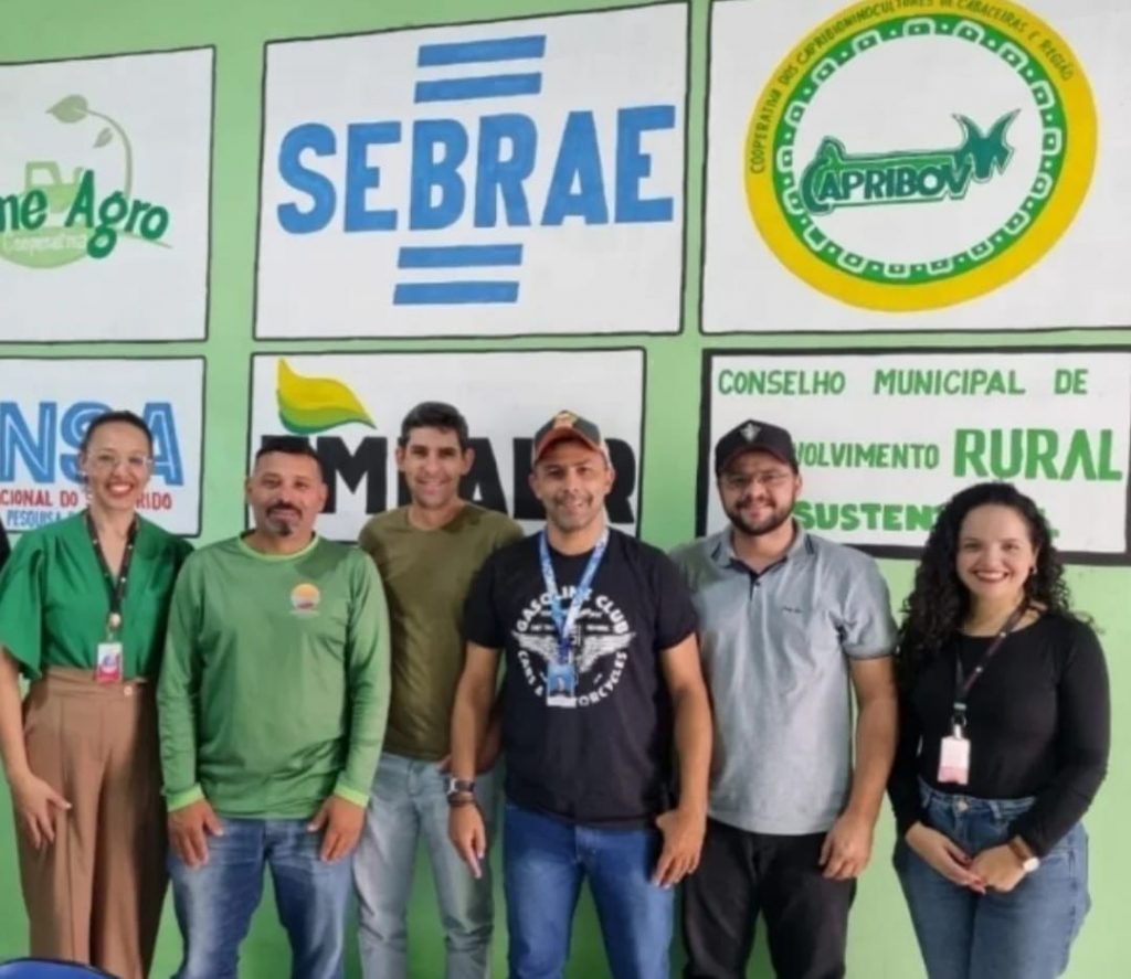 Apoio do Sebrae transforma avicultura caipira em Cabaceiras e fortalece cooperativa