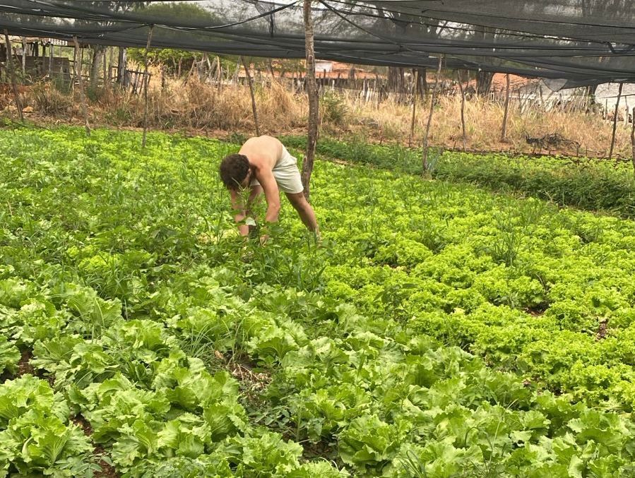 Eixo da sustentabilidade entra no manifesto do futuro do Pacto Novo Cariri na Paraíba
