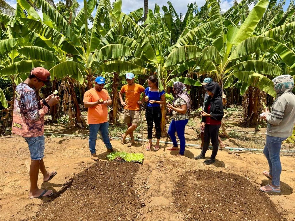 Projeto de agronegócios com Sebrae capacita mulheres em Santana de Mangueira