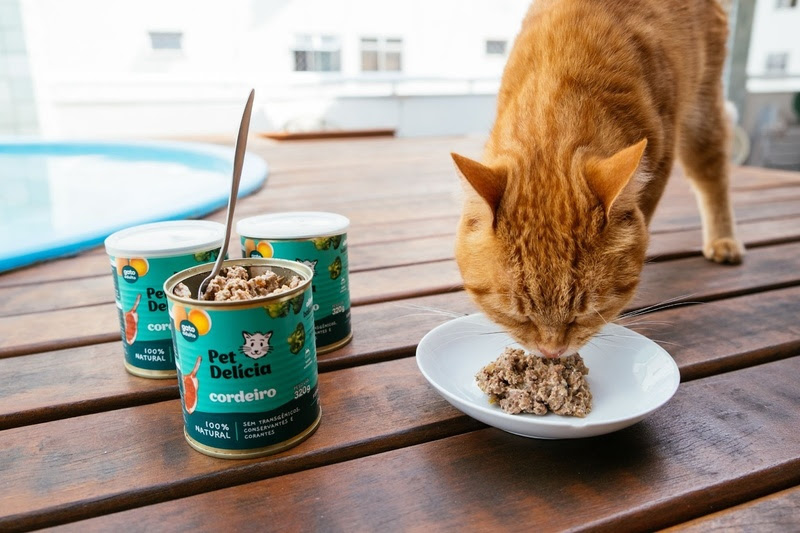 Alimentação natural para pets ganha força em 2026: 5 benefícios e como fazer a transição da ração