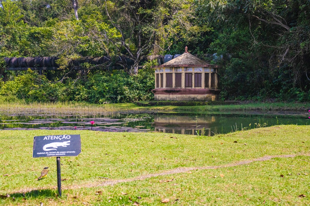 Férias no Jardim oferece atividades educativas e de lazer ambiental aos sábados de janeiro